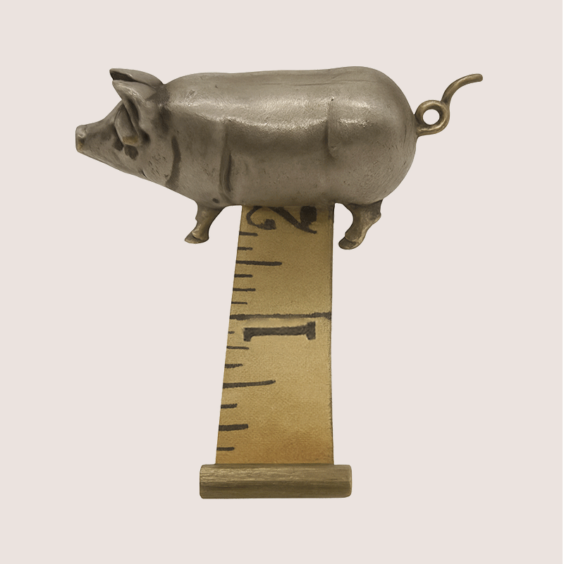 🐖 [Victorian Whimsy] 1880 Vintage Style Pig Tape Measure 📏✨