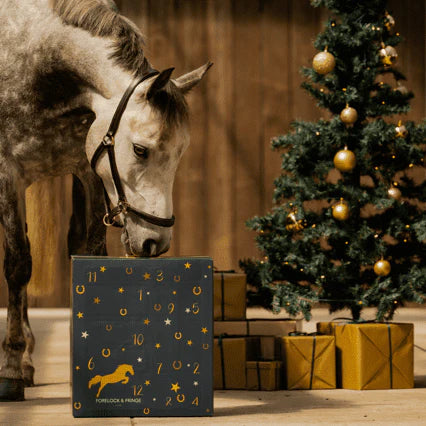Advent Calendar For Horses | 24 Surprises For Your Horse