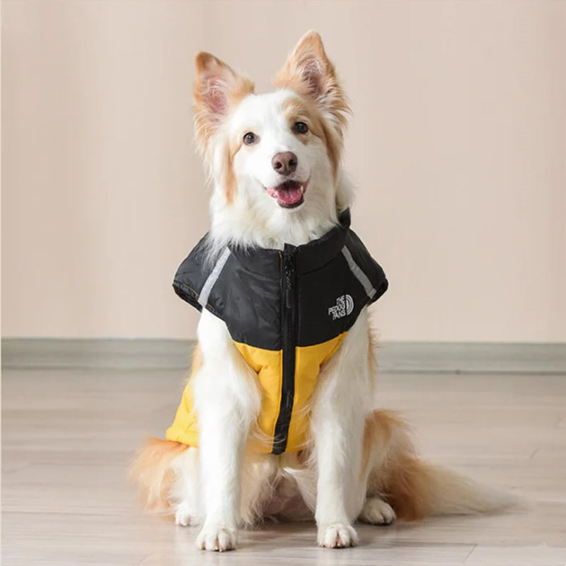 🐶Waterproof Windproof Winter Dog Coat